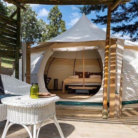 Kerikeri Glamping Exterior foto