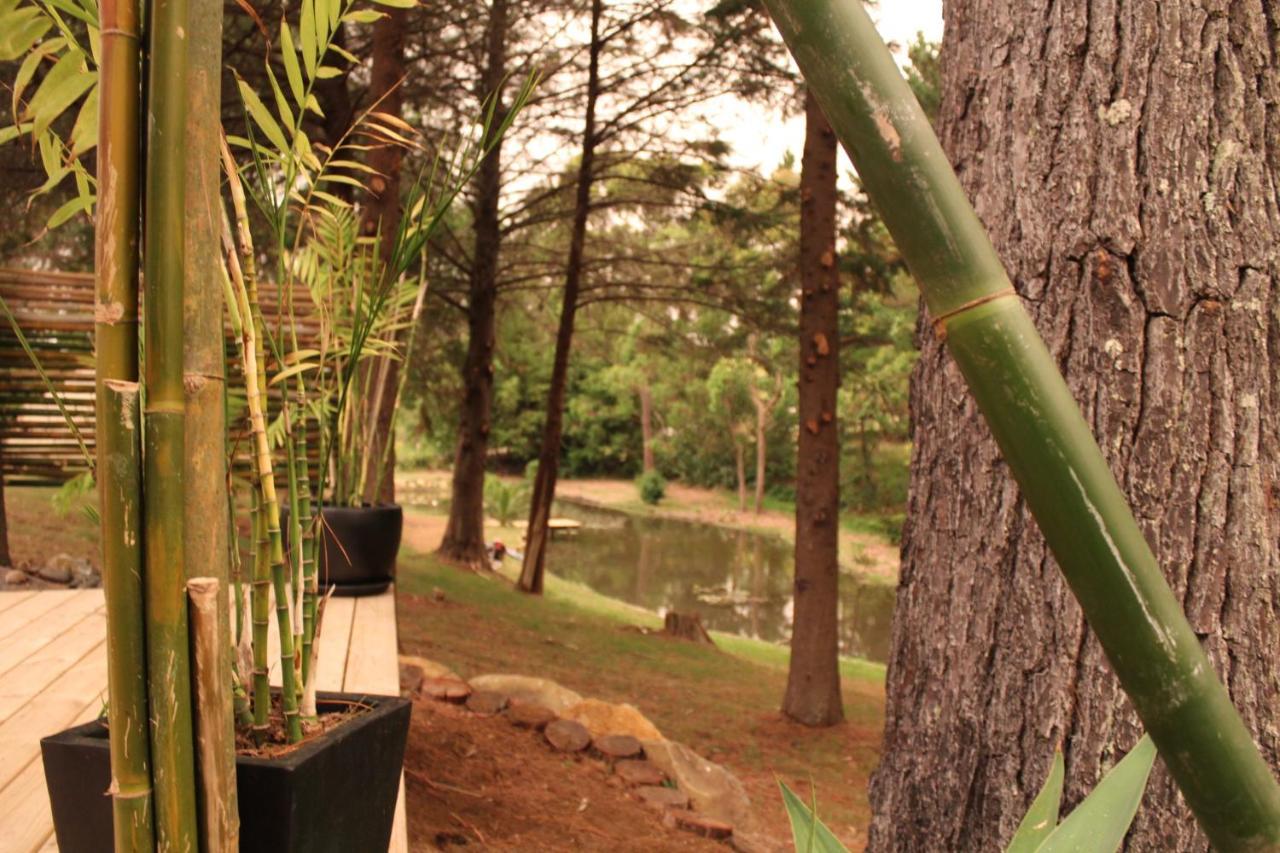 Kerikeri Glamping Exterior foto
