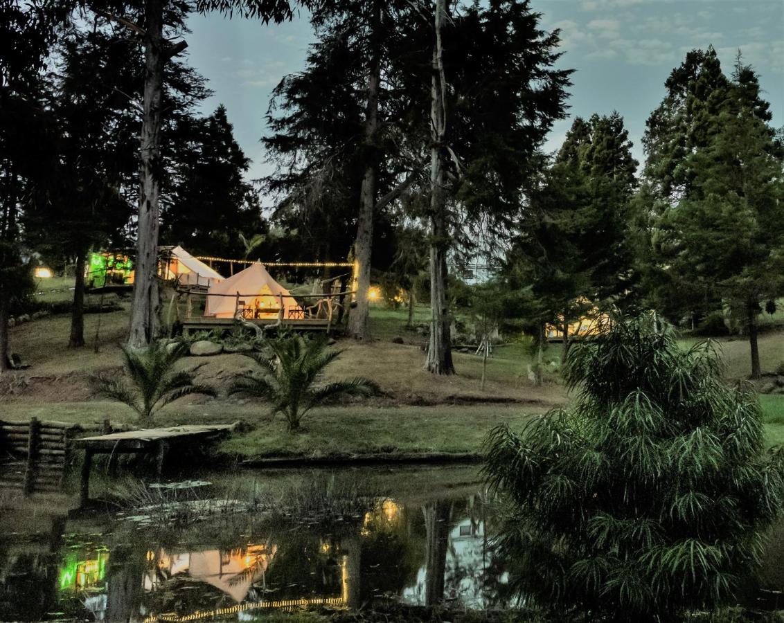 Kerikeri Glamping Exterior foto