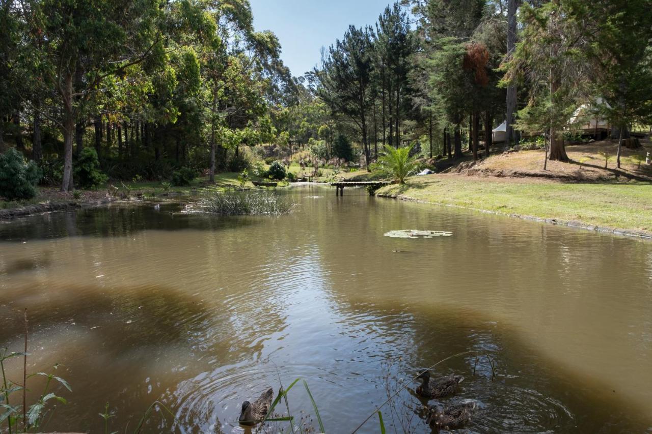 Kerikeri Glamping Exterior foto