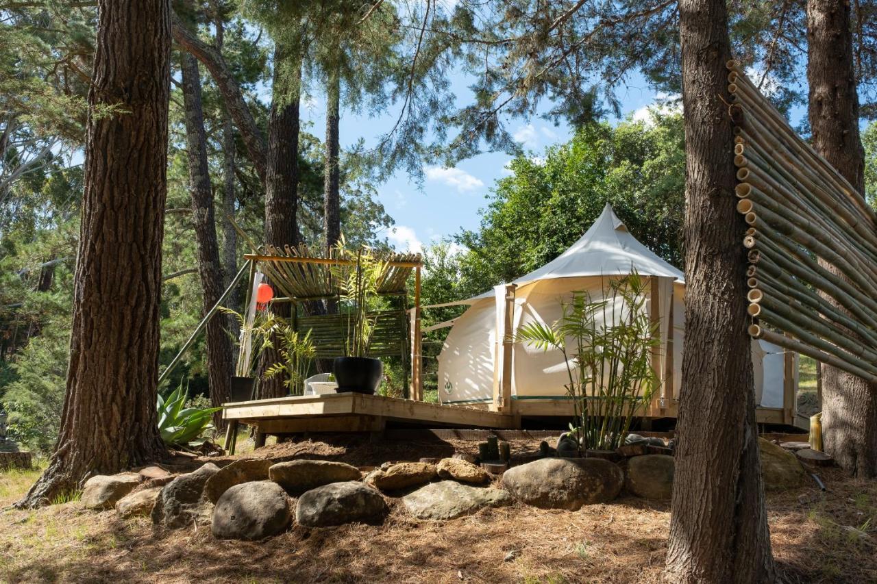 Kerikeri Glamping Exterior foto