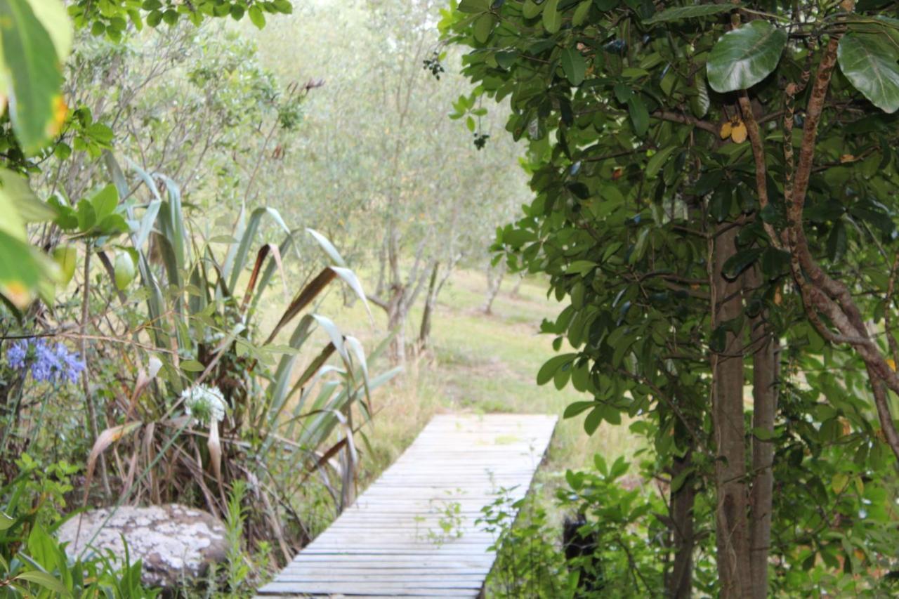 Kerikeri Glamping Exterior foto